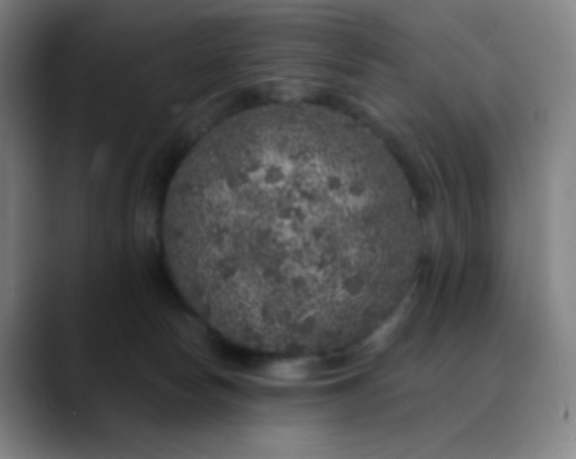 X0000089880178200707121819