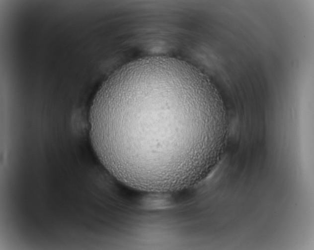 X0000089880179200707121819