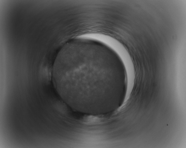 X0000089880180200707121819