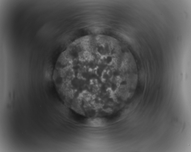 X0000089880181200707121819