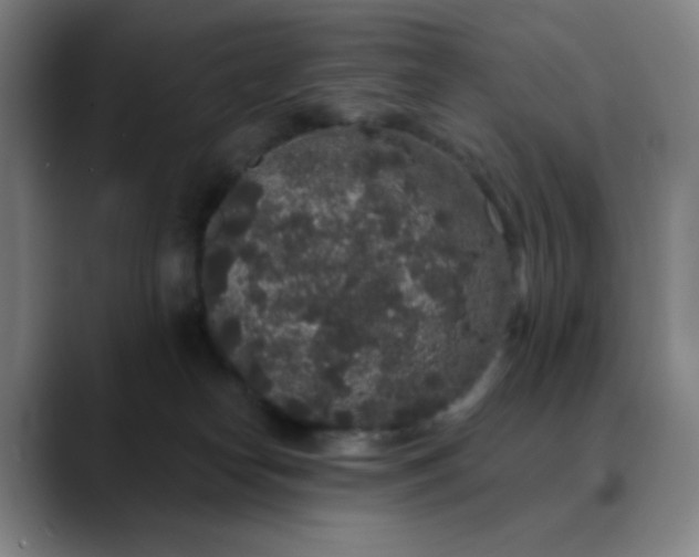 X0000089880182200707121819