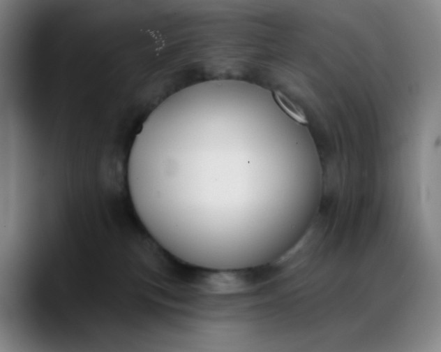 X0000089880183200707121819