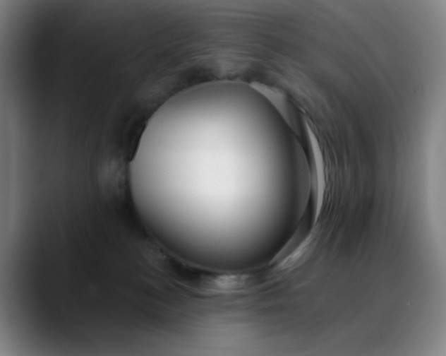 X0000089880184200707121819