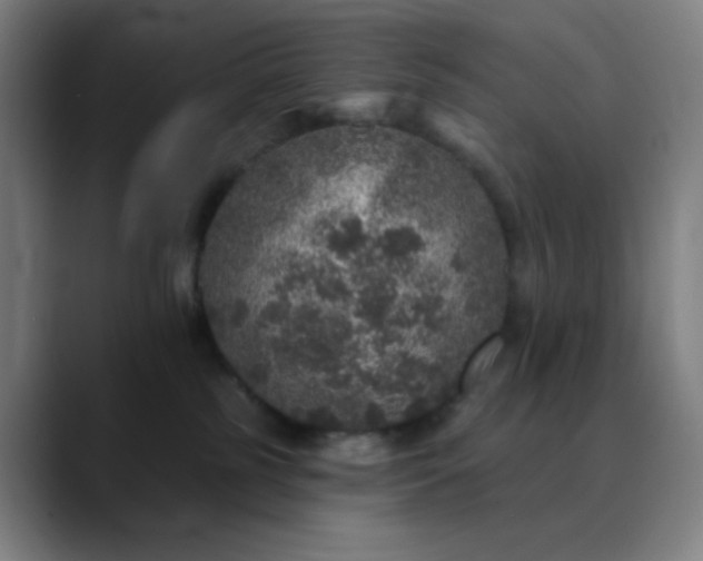 X0000089880185200707121819