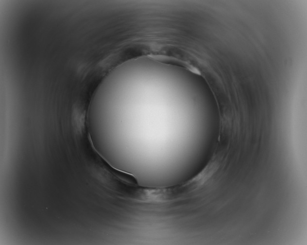 X0000089880188200707121819