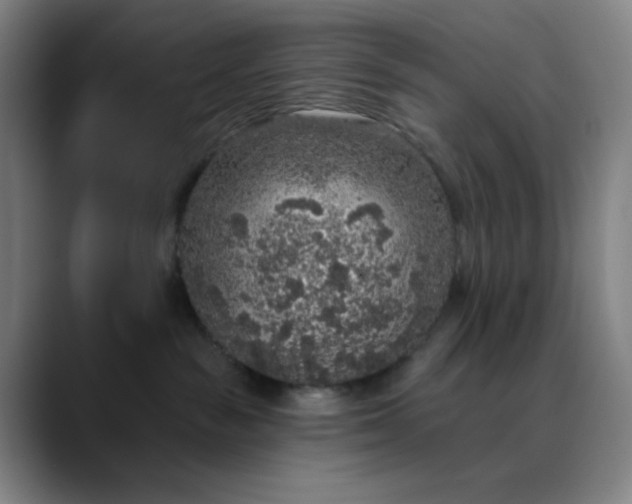 X0000089880189200707121819