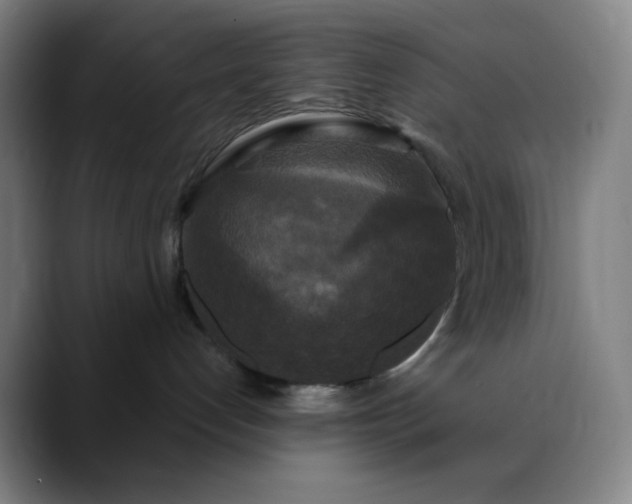 X0000089880192200707121819