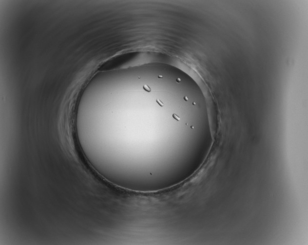 X0000089880193200707121819