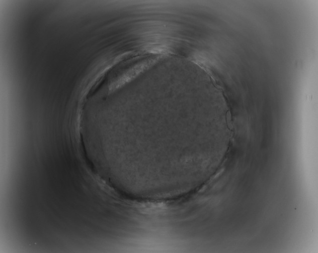 X0000089880194200707121819