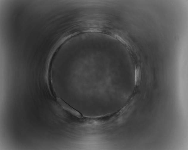 X0000089880195200707121818