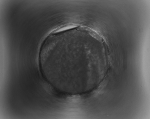 X0000089880196200707121818