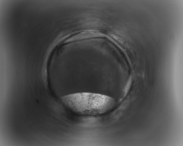 X0000089880198200707121818