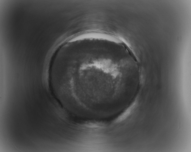 X0000089880199200707121818