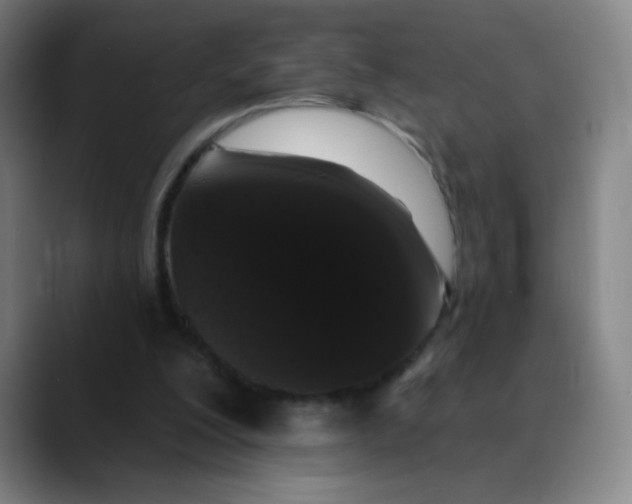 X0000089880200200707121818