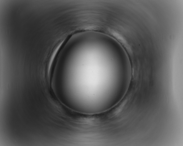 X0000089880201200707121818