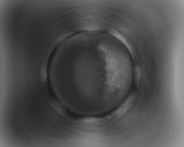 X0000089880203200707121818