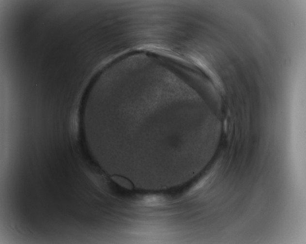 X0000089880204200707121818