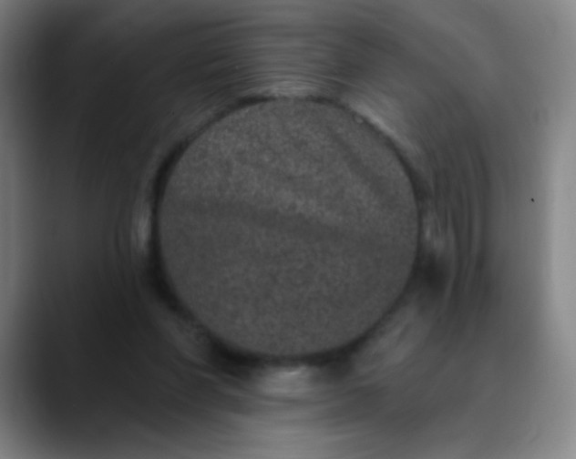 X0000089880206200707121818