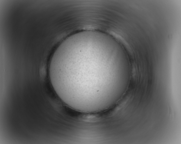 X0000089880208200707121818