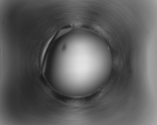 X0000089880209200707121818