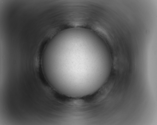 X0000089880210200707121818