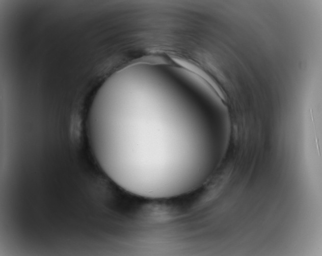 X0000089880211200707121818