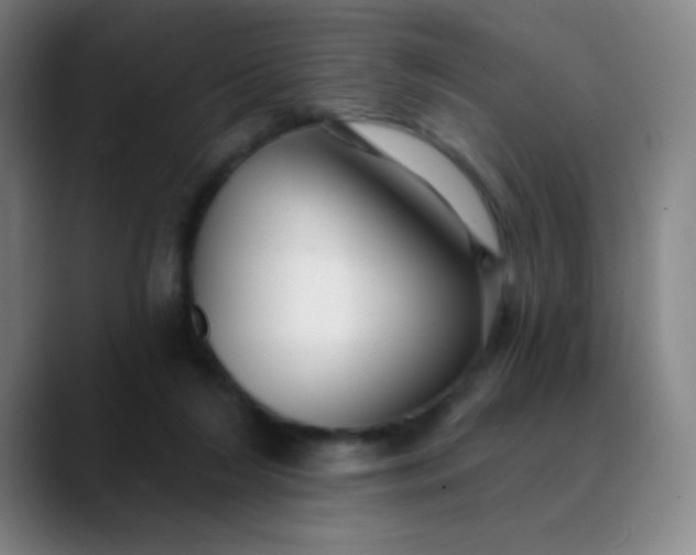 X0000089880212200707121818