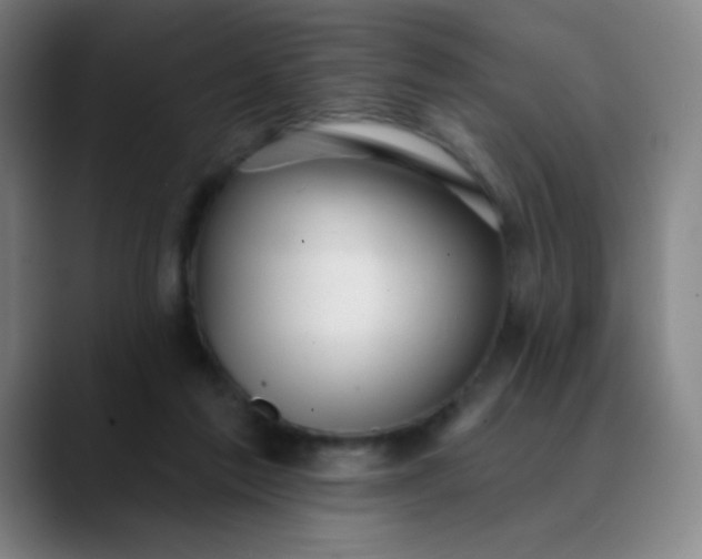 X0000089880213200707121818