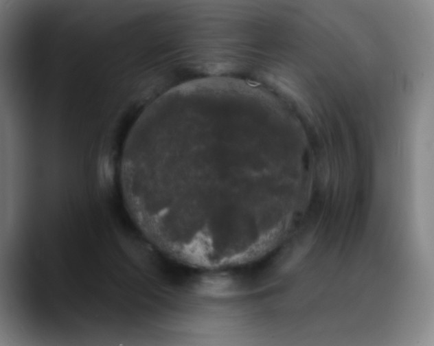 X0000089880214200707121818