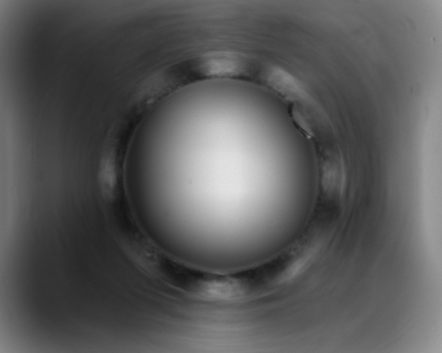 X0000089880215200707121818