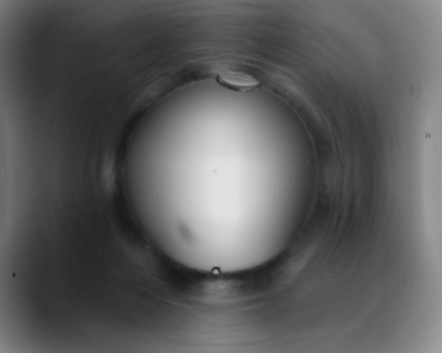 X0000089880216200707121818