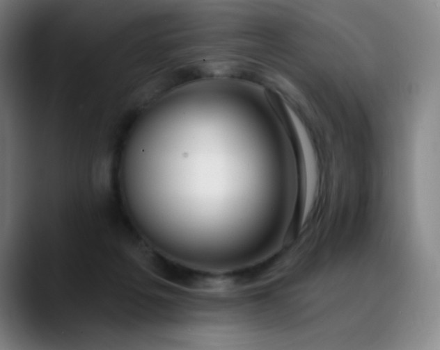 X0000089880217200707121818