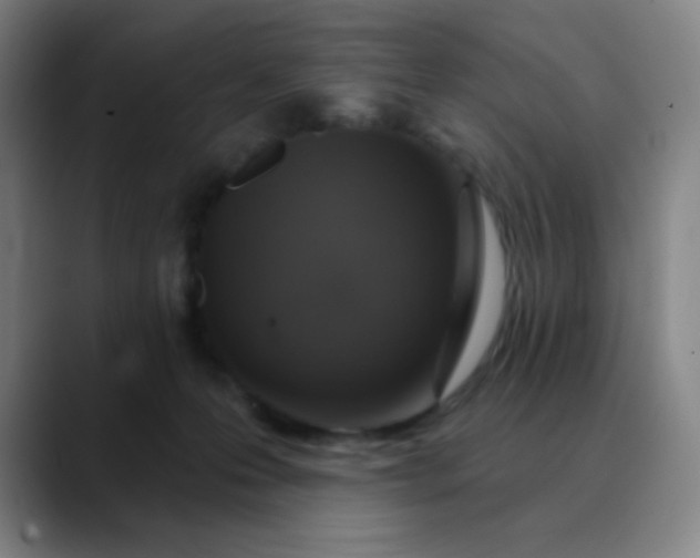 X0000089880223200707121818