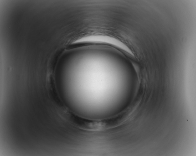 X0000089880225200707121818