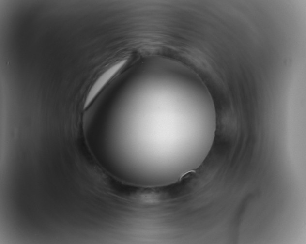 X0000089880228200707121818