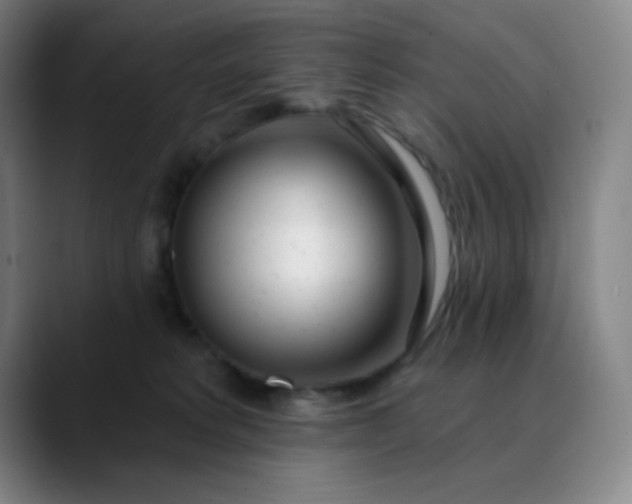 X0000089880229200707121818