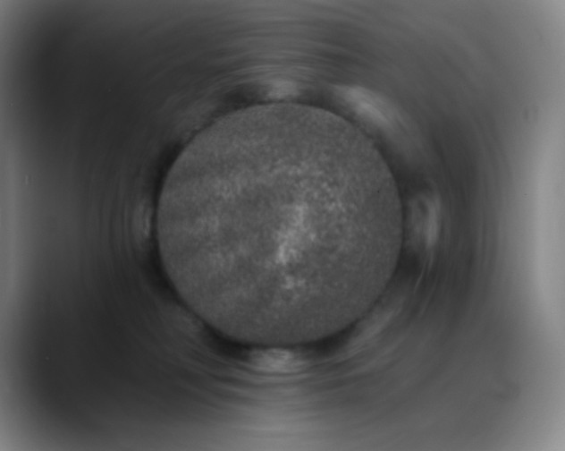 X0000089880230200707121818