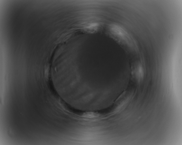 X0000089880231200707121818