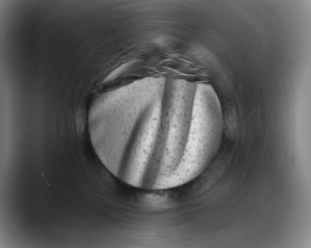 X0000089880232200707121818