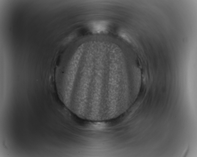 X0000089880233200707121818