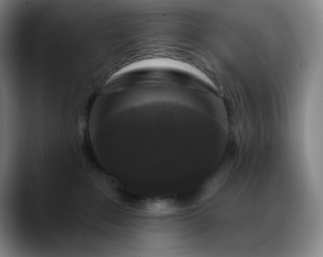 X0000089880235200707121818