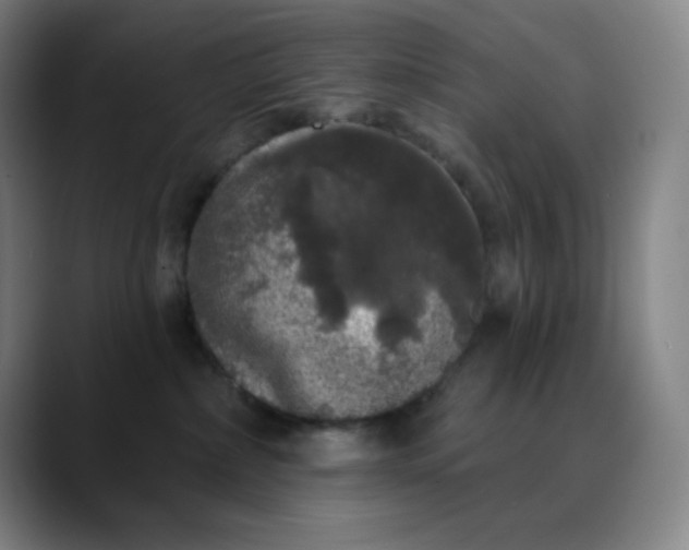 X0000089880236200707121818