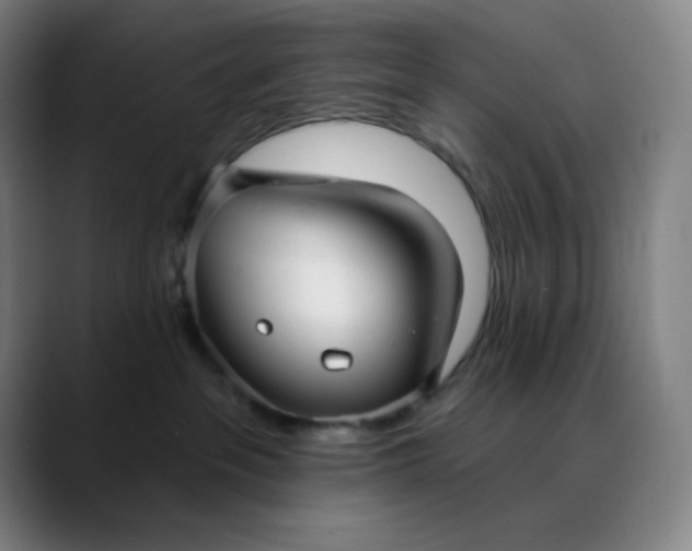 X0000089880237200707121818