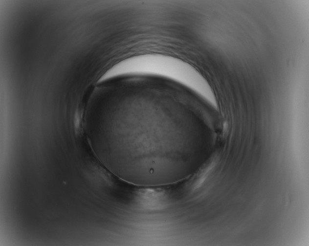 X0000089880239200707121818