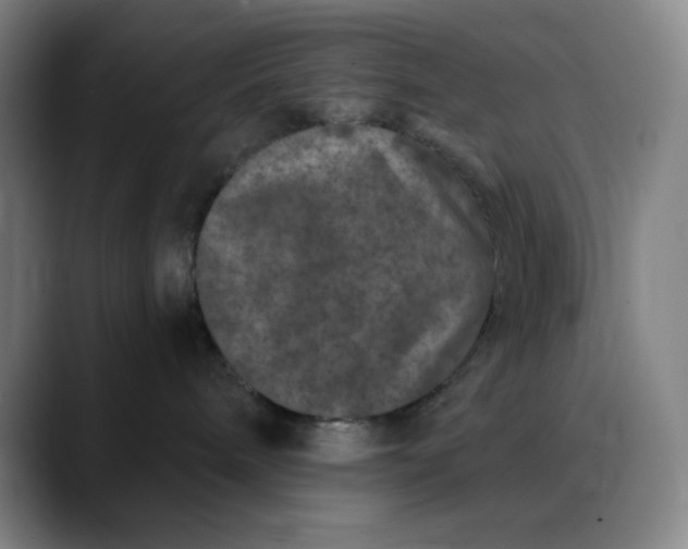 X0000089880240200707121818