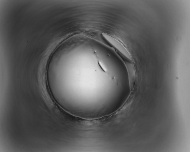 X0000089880241200707121817