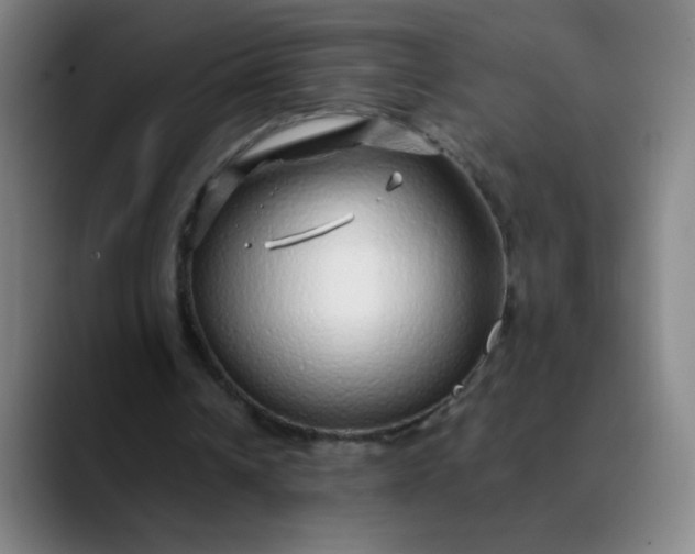 X0000089880242200707121817