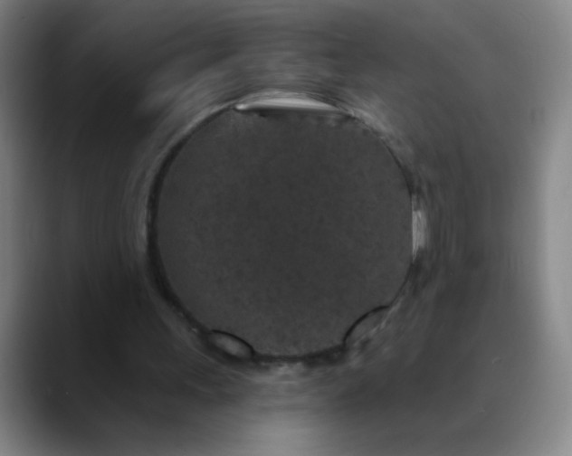 X0000089880243200707121817