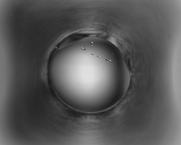 X0000089880244200707121817