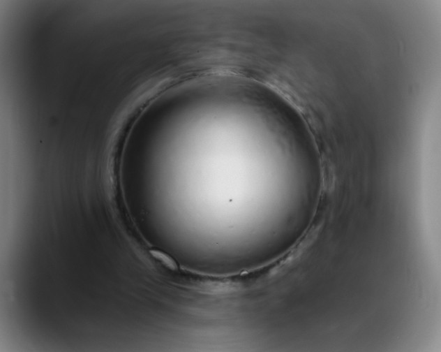 X0000089880245200707121817